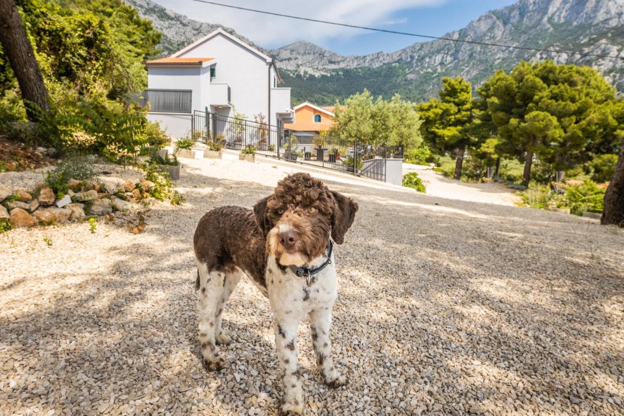 Villa Unique Gradac  Exterior foto